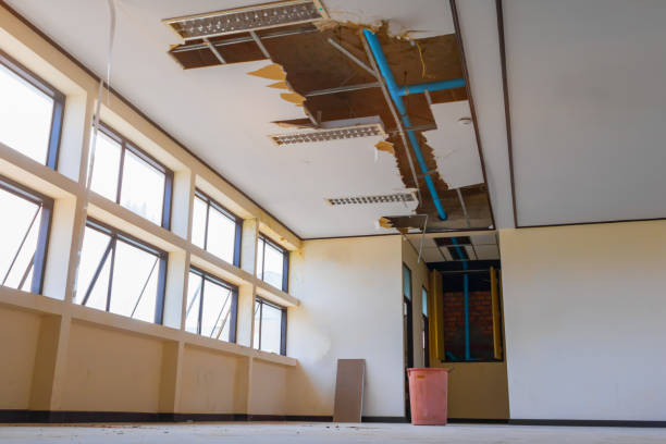 Best Ceiling water damage repair  in Thunderbolt, GA