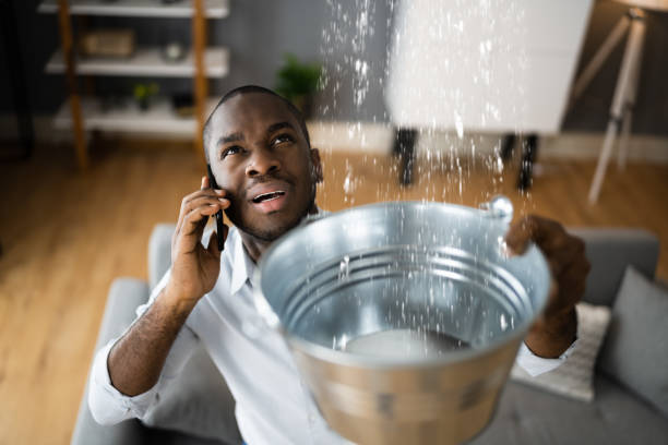 Best Water damage cleanup near me  in Thunderbolt, GA