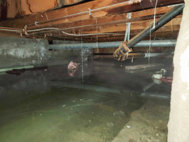 Thunderbolt, GA Water damage restoration Company