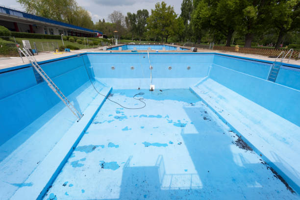 Best Carpet water damage restoration  in Thunderbolt, GA