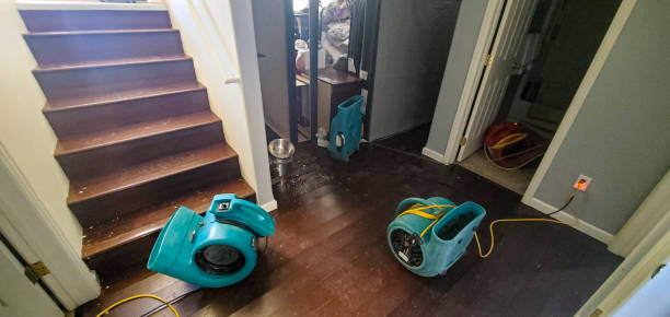  Thunderbolt, GA Water damage restoration Pros