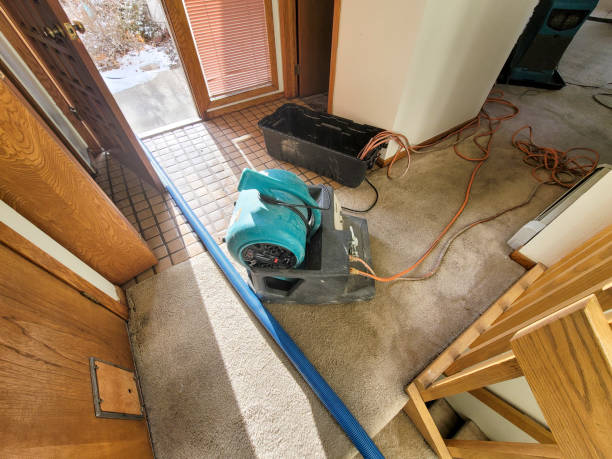  Thunderbolt, GA Water damage restoration Pros