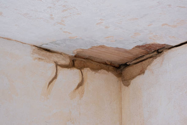Water damage restoration experts in Thunderbolt, GA