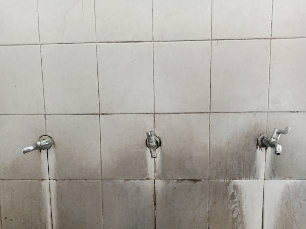 Best Fire Damage Restoration  in Thunderbolt, GA