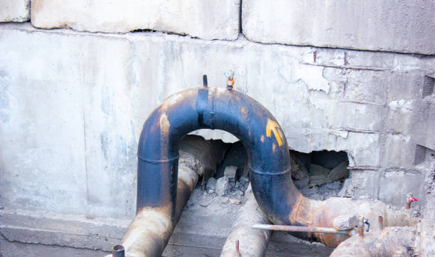 Best Flood restoration services  in Thunderbolt, GA