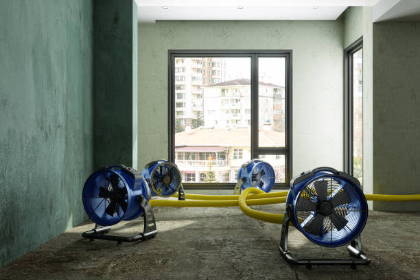 Water damage restoration process in Thunderbolt, GA