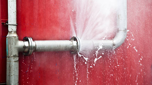 Best Water damage restoration experts  in Thunderbolt, GA